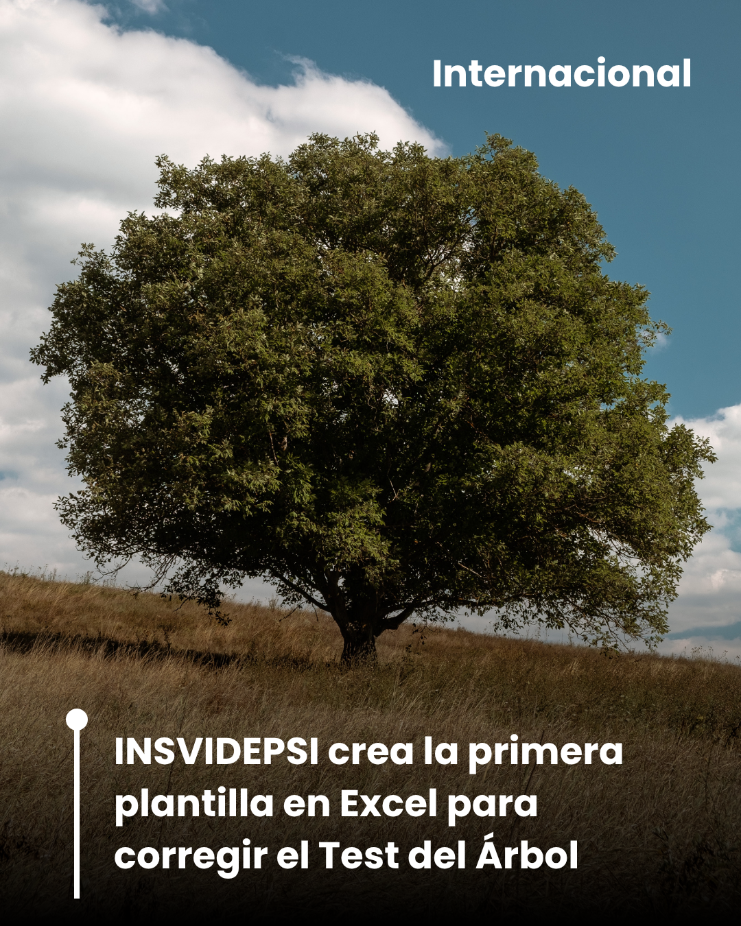 INSVIDEPSI hace la primera plantilla en excel para aplicar el Test del Árbol